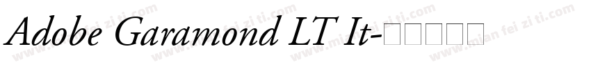 Adobe Garamond LT It字体转换